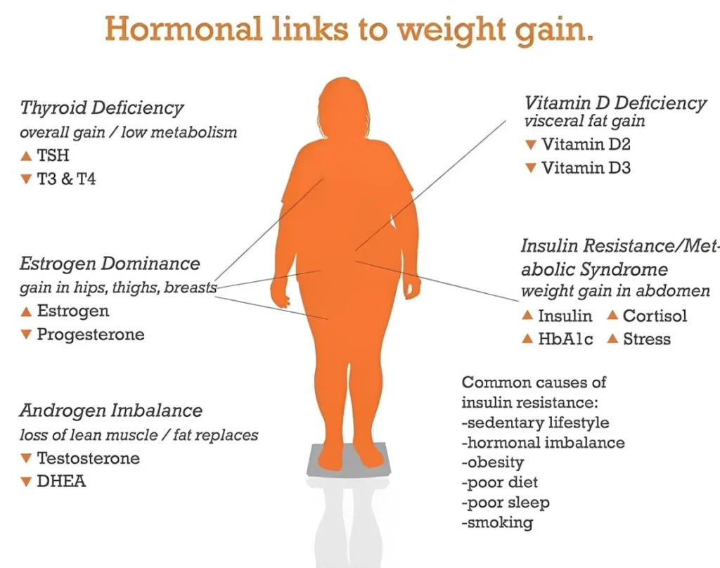 Hormonal links to weight gain